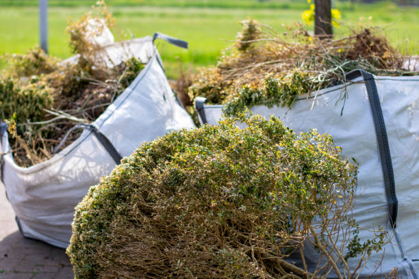 Professional Junk Removal Services in Floresville, TX